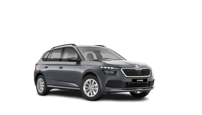 Skoda Karoq Selection vorne